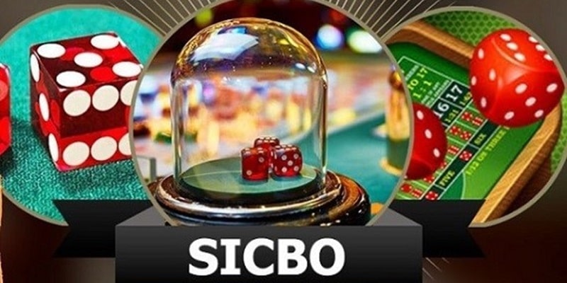 Sicbo 8kbet
