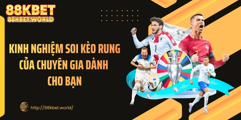 Kinh nghiệm soi kèo rung của chuyên gia dành cho bạn